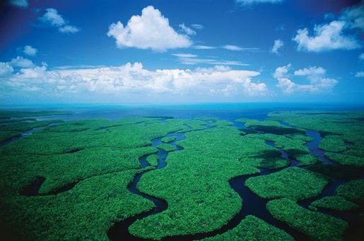 Park Narodowy Everglades na Florydzie - opinie
