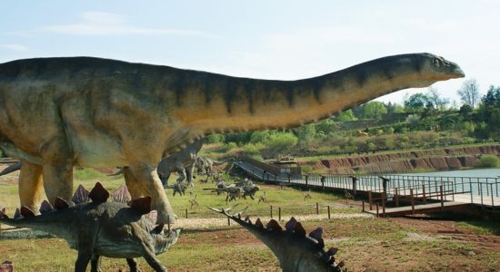 Najlepsze Parki Dinozaurow W Polsce Top 10 Opinie Najwieksze